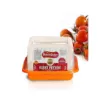 yukselogullari-ezine-peyniri-(1-kg)-1