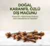 Doğal Karanfil Özlü Diş Macunu 90 ml resmi