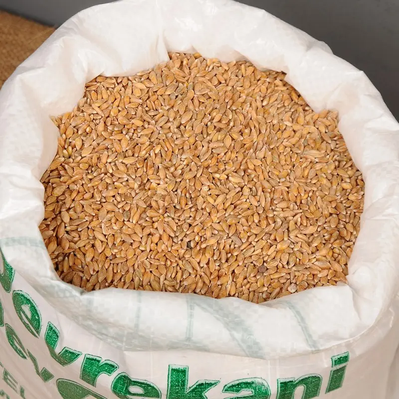 kastamonu-siyez-bugdayi-5kg-1